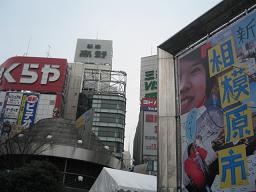 キンモクセイ２