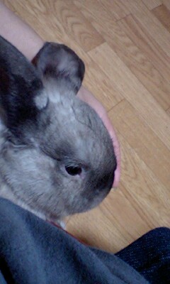 りんとまったり