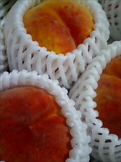 ワッサークイーン