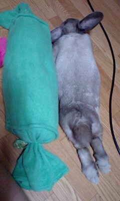 伸びるりんさま