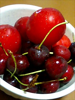 プラムとアメリカンチェリー