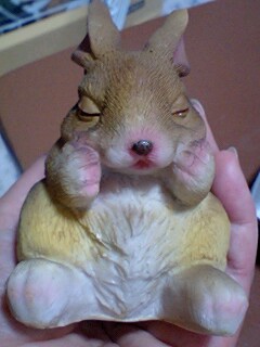 ニューフェイス？