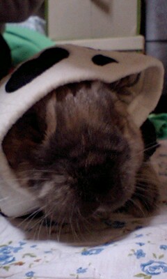 りんだがね＾＾