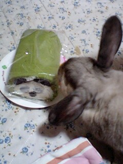 ぱんだロール３