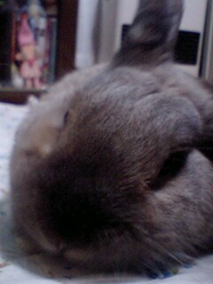 やってもうた！