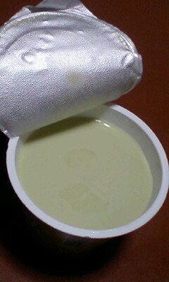 抹茶牛乳プリン２