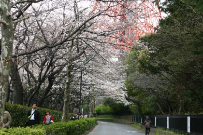 増上寺と東プリの間の道