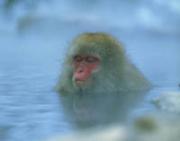 あったかい・・・