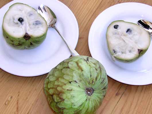 クリンスマンとジダン
