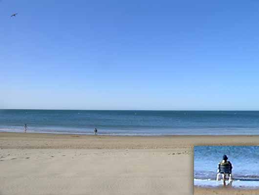 魔女さんが亡くなりました
