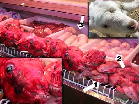 仔ヤギの丸焼き
