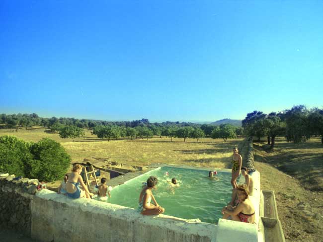 ある夏の思い出