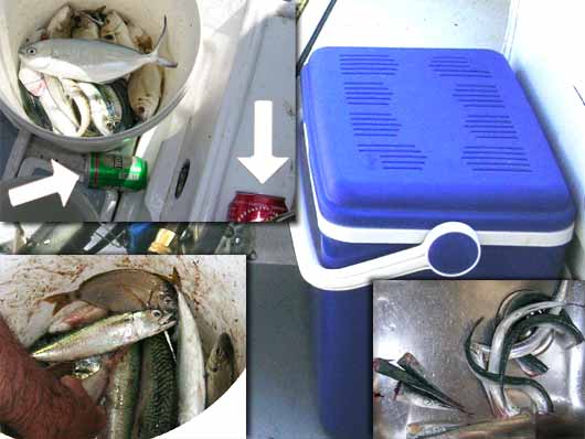 船で一番大切なもの