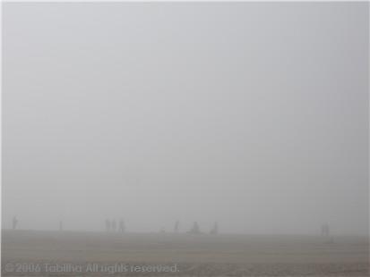 さーふぁーのみなさん。