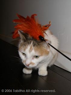 うるさいわね。