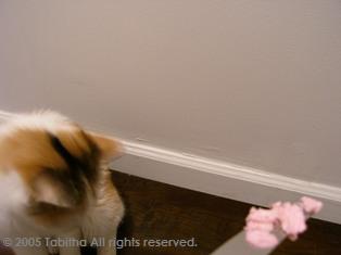 下向いてないで