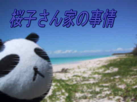 桜子の日常