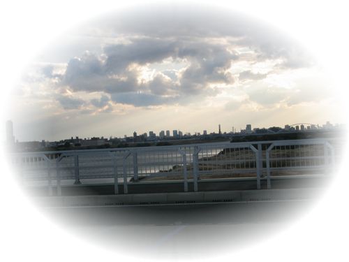 帰り道に鳥飼仁和寺大橋の上から淀川下流（大阪市内方向）を望む