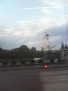 大阪万博記念公園の太陽の塔