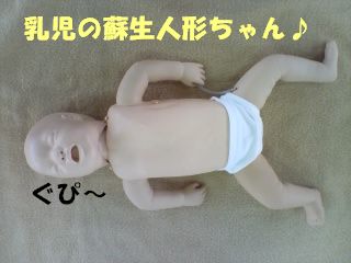 乳児の蘇生人形