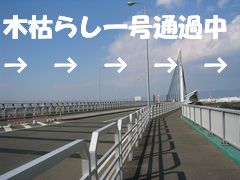 木枯らし一号通過中！寒かった～！