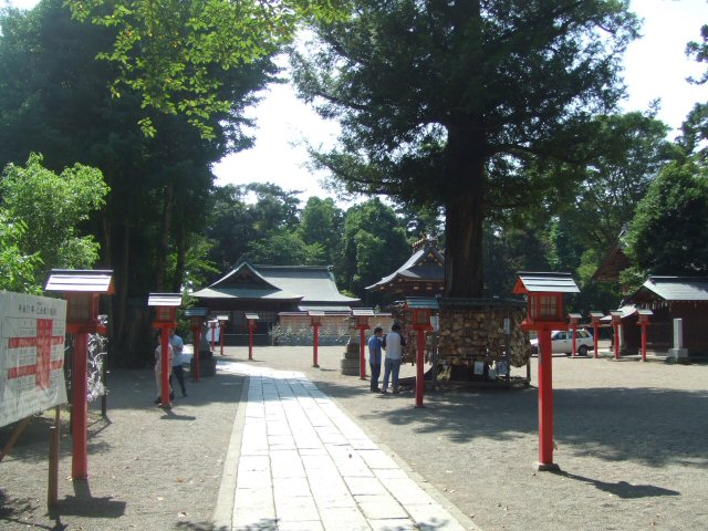 鷲宮神社全体