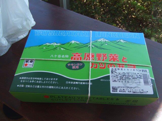 小淵沢駅名物 高原野菜とカツ弁当 箱