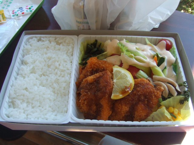 小淵沢駅名物 高原野菜とカツ弁当 中身