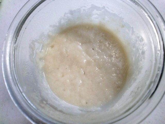 20100928ホシノ天然酵母