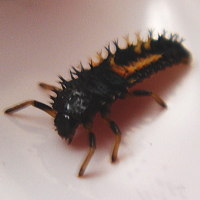 5-19tento3.jpg