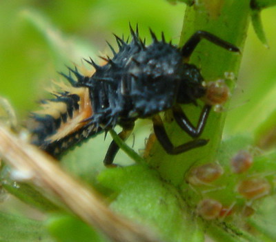 5-19tento6.jpg