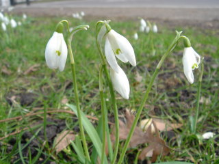 3-5-006.jpg
