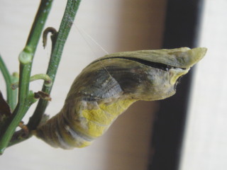 708-20-1319.jpg