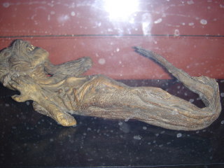 3-9-006.jpg