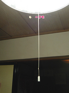 707-10-102.jpg