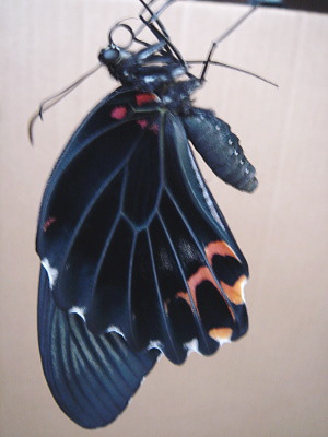 708-20-1331.jpg