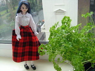 3-9-012.jpg
