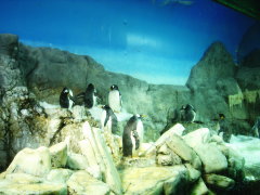 4-21-003.jpg