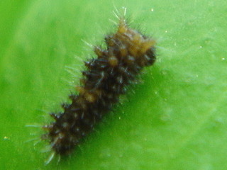 707-7-107.jpg