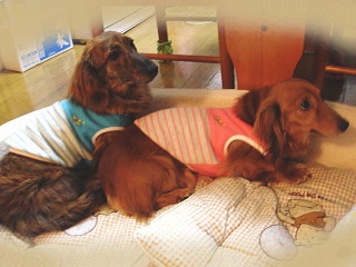4-21-009.jpg