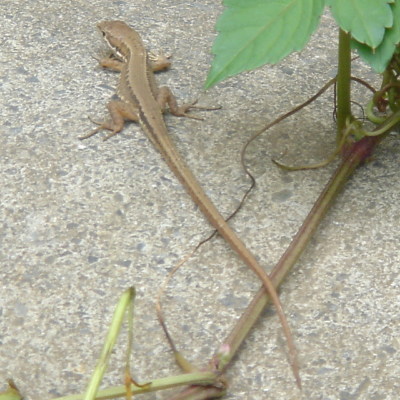 905-12-007.jpg