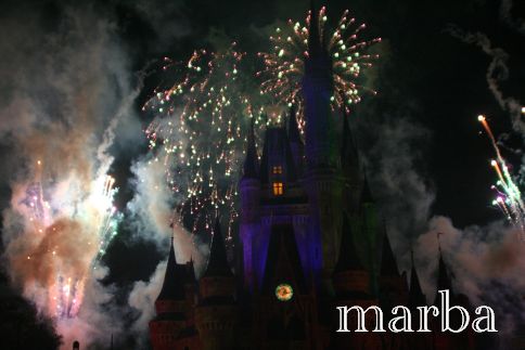 WDW MK Wishes(N)3.jpg