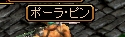 ポーラピン.jpg