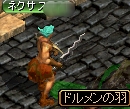 ドルメンの羽.jpg