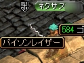 ﾊﾟｲｿﾝ.jpg