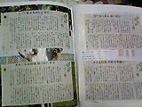 100822_古カタログに新聞スクラップ_05