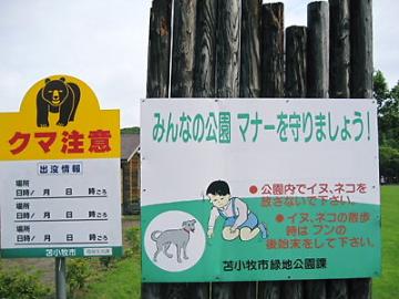 クマ注意