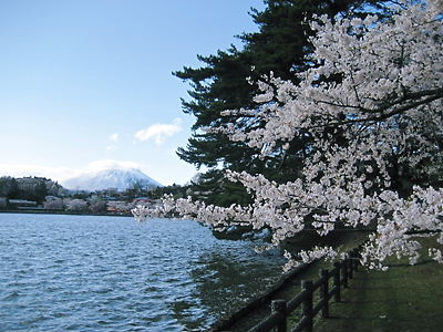 高松の池 (6).JPG