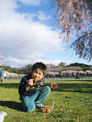 高松の池 (12).JPG