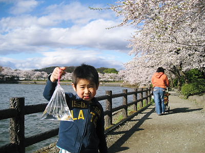 高松の池 (9).JPG